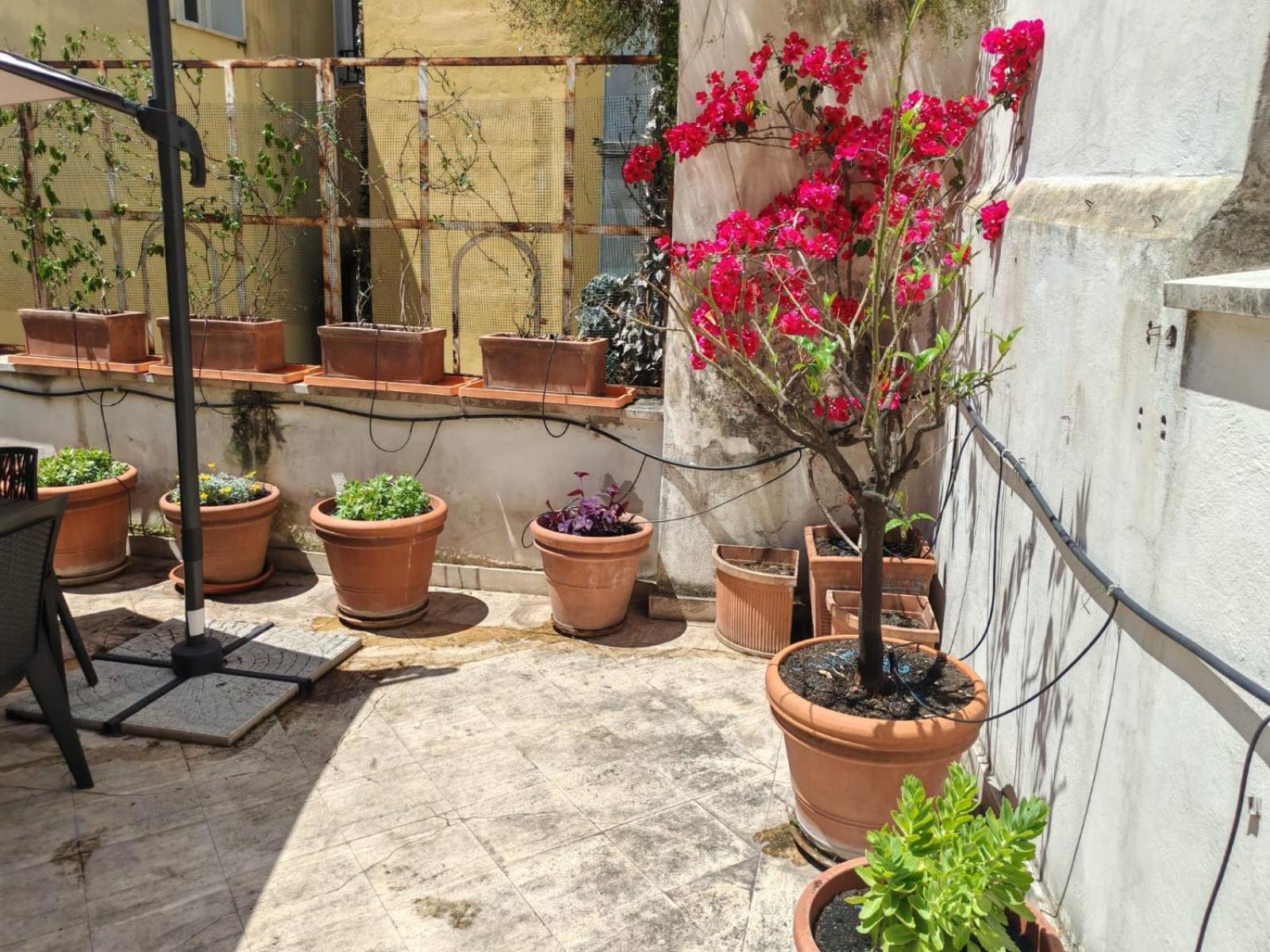 Appartement Casa Storica 4bdr Con Terrazza A Campo De Fiori *